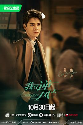 pos网站优化策划